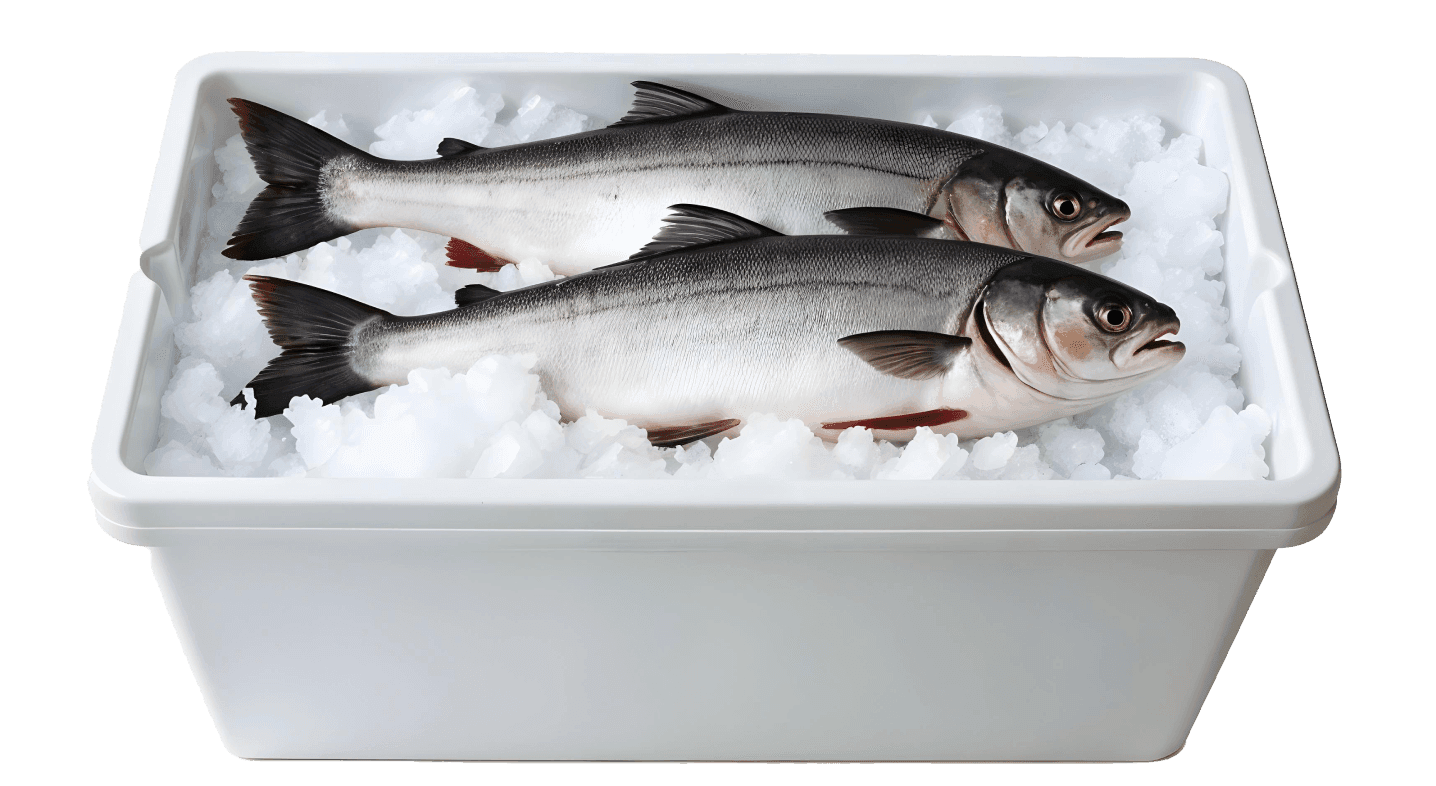 pikaso_texttoimage_35mm-film-photography-fresh-fruits-and-vegetable-c 2 (1)